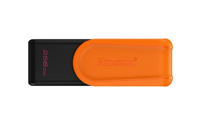 Memorias USB Kingston Technology DTXS/256GB