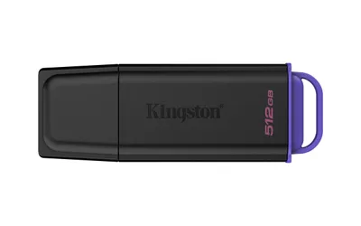 Memorias USB Kingston Technology DTXG2
