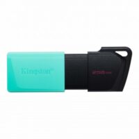 Memoria USB  Kingston Technology DTXM/256GB